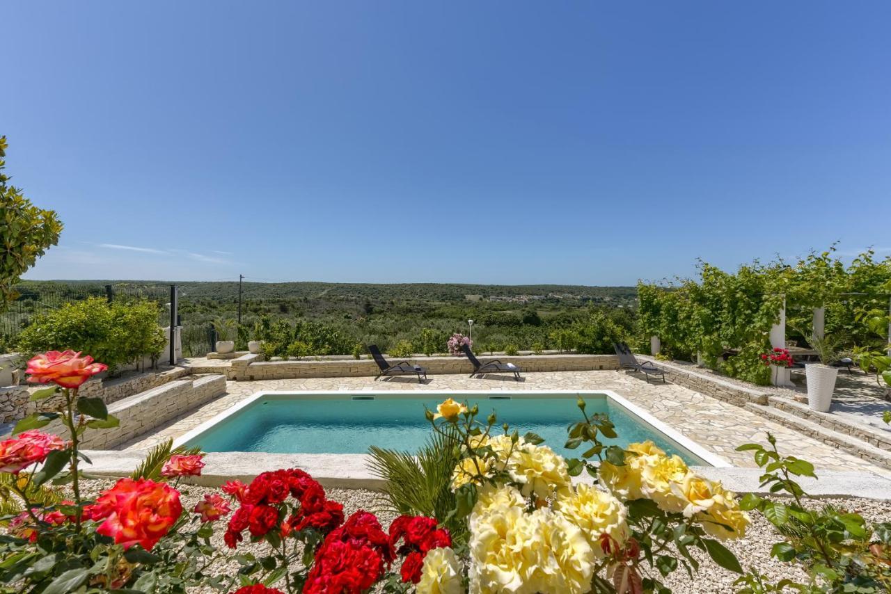 Haus Lilli Mit Pool Daire Ražanac Dış mekan fotoğraf